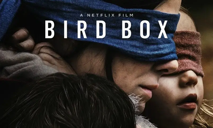BIRD BOX