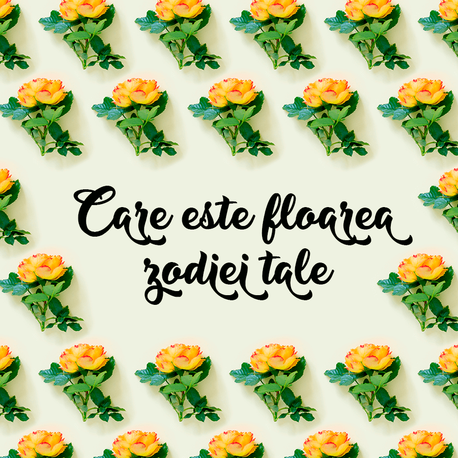 Care este floarea zodiei tale Care este floarea zodiei tale