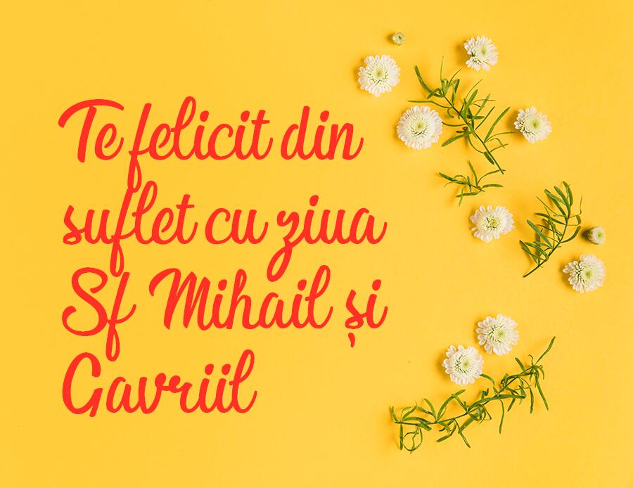 Felicitări-ilustrate-de-Sf.-Mihail-și-Gavriil