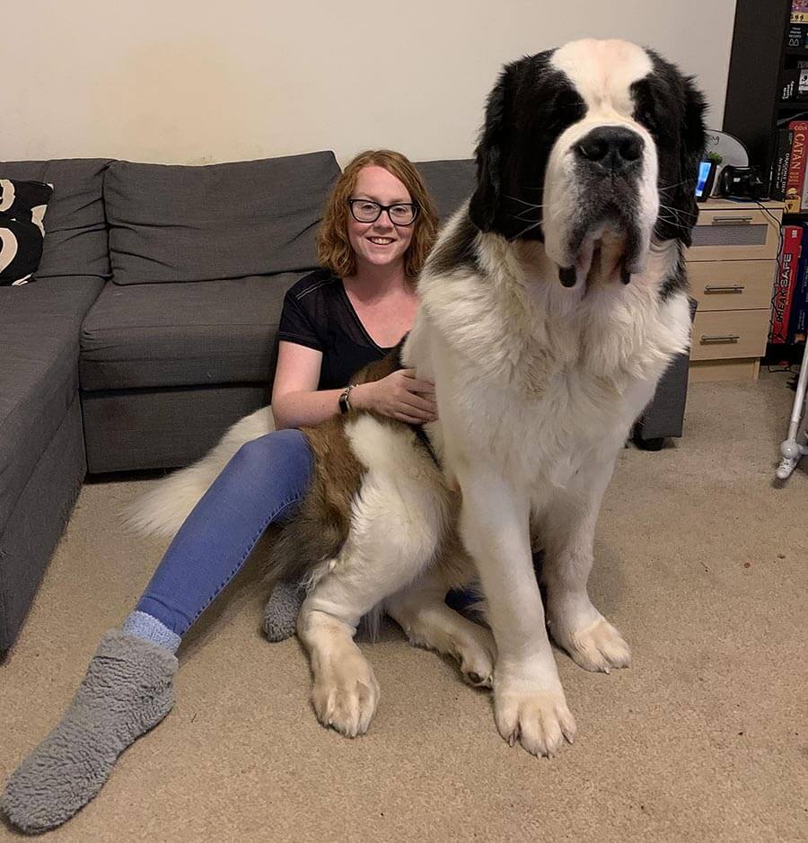 Saint-Bernard