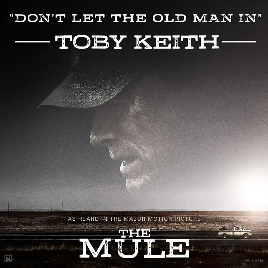 The mule