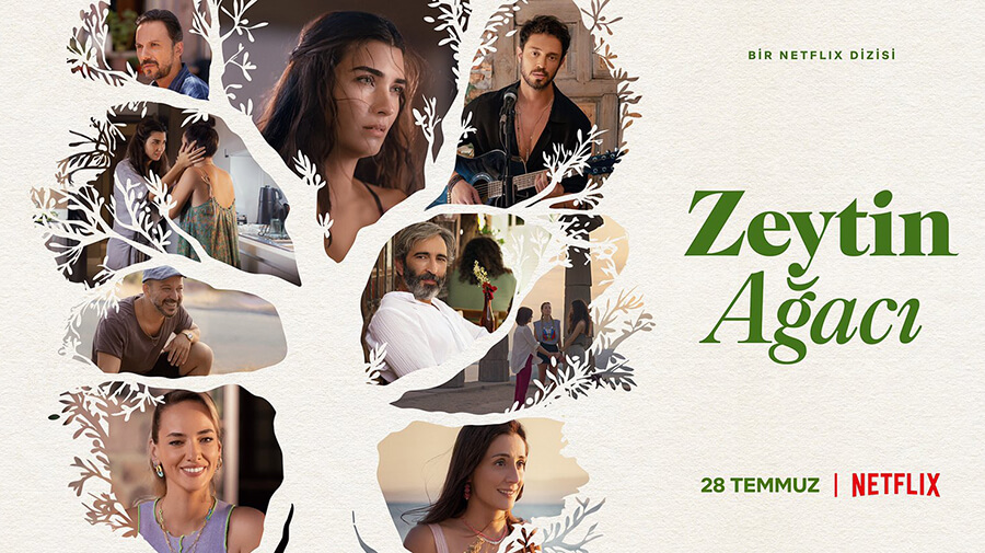 Zeytin Agaci